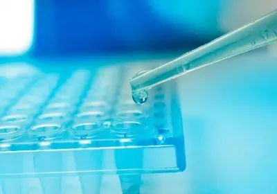 a pipette dropping clear liquid into a well plate